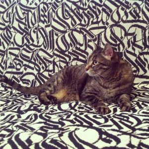 Studio cat Cosette has good taste